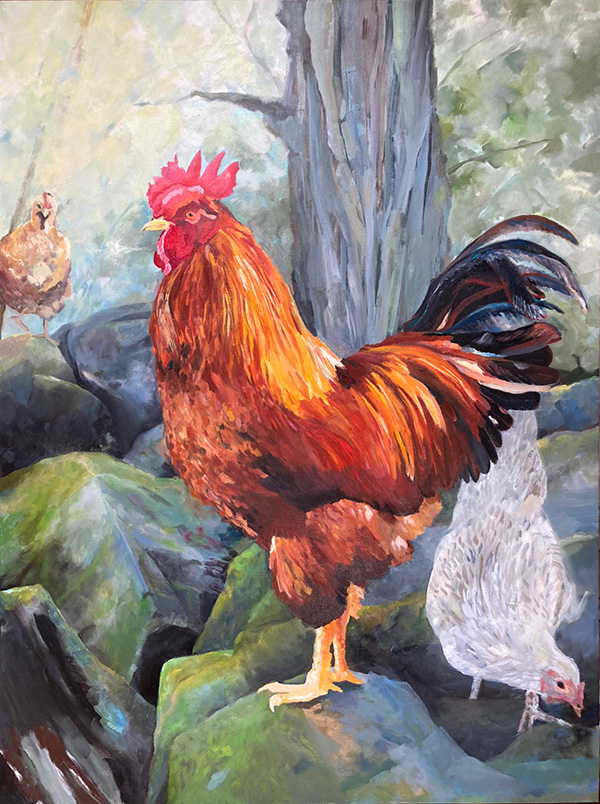 In Charge large rooster on rock with 2 hens