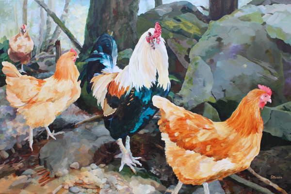 Morning walkabout 3 chickens and a rooster on rocks