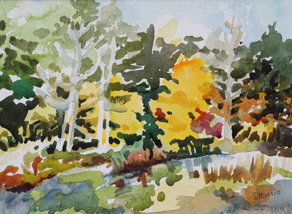 colorful fall trees surrounding pond